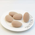 Oval-shaped makeup sponge that expands when soaked in water